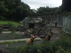 -宁波野生动物园