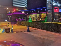 -枫花园汽车电影院(朝阳公园店)