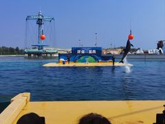 -秦皇岛乐岛海洋王国