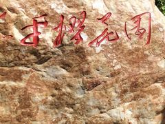 -长白岛森林公园