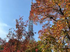 -大蜀山国家森林公园