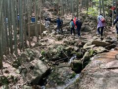 -莫干山风景区