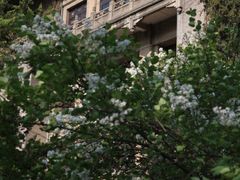 -陕西师范大学(雁塔校区)