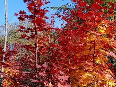 -长春市南湖公园