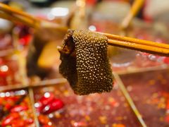 -白乐天毛肚火锅馆(解放碑店)