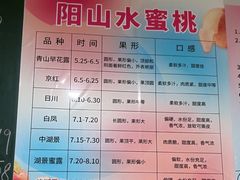 -老袁家蜜桃农场·阳山水蜜桃