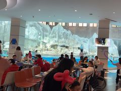 -帝企鹅自助餐厅•儿童岛•真企鹅(长隆企鹅酒店)