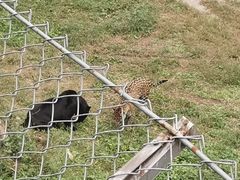 -石家庄市动物园