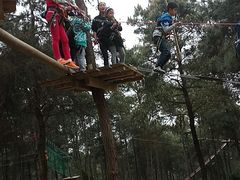 -铁山坪森林公园