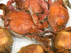 -北塘海鲜·天津菜(大光明桥旗舰店)