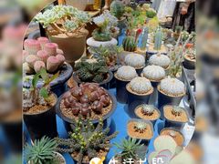 -瑞虹新天地月亮湾