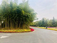 -春兰国宾馆(凤城河风景区老街店)