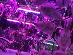 -三旗百汇商品城