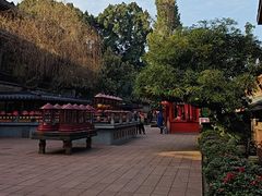 -峨眉山报国寺