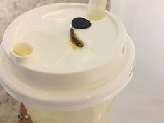 -喜茶(上海正大广场店)
