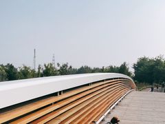 -马家湾湿地公园