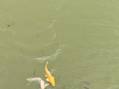 -泉州海丝野生动物世界