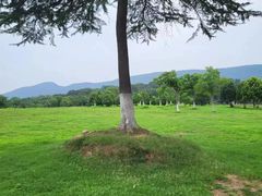 -钟山体育运动公园
