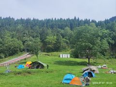 -武陵山森林公园