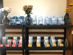 -Torch Coffee 炬点咖啡