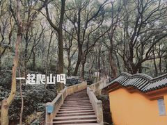 -惠山国家森林公园