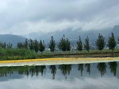 -大理洱源西湖景区
