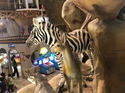 -卡通尼·Safari非洲探索乐园·生日会(金桥国际商业广场店)