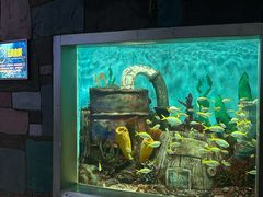 -合肥海洋世界