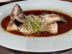 清蒸鲈鱼-丽华园(汉阳龙阳店)