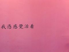 -藏猫猫咖啡主题馆(中央大道店)