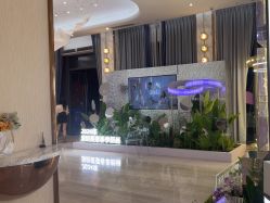 -深圳美莱医疗美容医院