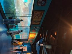 -海合安武汉极地海洋公园