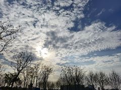 -上海山野camping·户外天幕烧烤·团建拓展营地