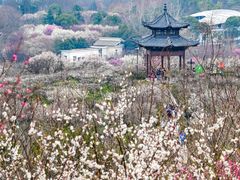 -南京市无想山景区