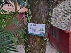 -广州市白云山风景名胜区