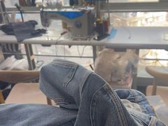 -易改衣·明星裁缝(金桥国际广场店)