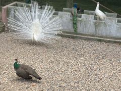 -南京金牛湖风景区