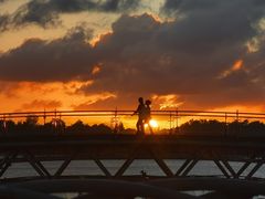 -上海月湖雕塑公园