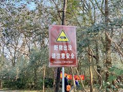 -紫金山山顶公园