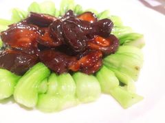 香菇菜心-乾隆美食·本帮菜(黄河路店)