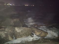 -老虎石海上公园