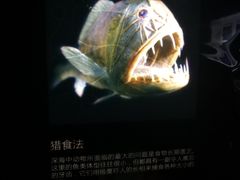 -同济大学四平路校区深海探索馆