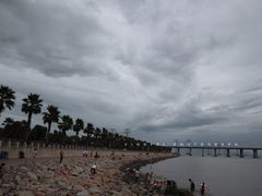 -宝安西湾红树林湿地公园