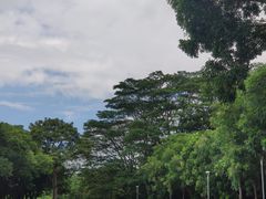 -东莞植物园