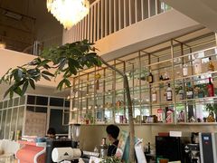 -花神·轻食简餐·咖啡馆·花卉绿植(荷兰花卉小镇店)