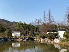 -杭州植物园