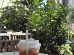 -gaga(深圳福田星河COCO Park店)