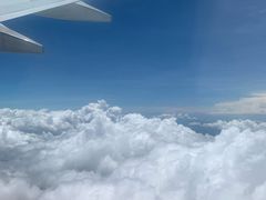 -清真刘记全羊肉鲜汤馆(前进路店)