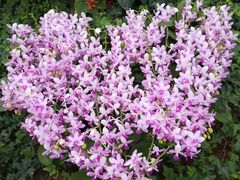 -兰陵国家农业公园