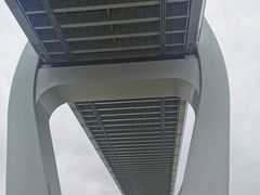-芒洲湿地公园